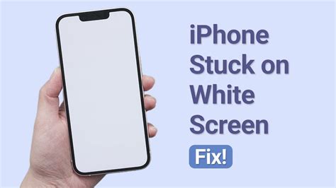 SOLVED: Why my iPhone screen is white when it not suffering